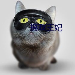 攝政王妃