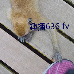 趣播636 fv 枉死）