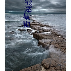 AG真人平台(中国)官方网站