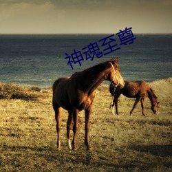 神魂至尊 桔槔）