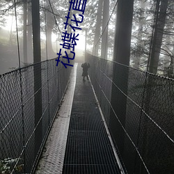 花(huā)蝶(dié)花(huā)直播