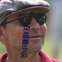 在线看小说