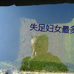 失足妇女最多的省份