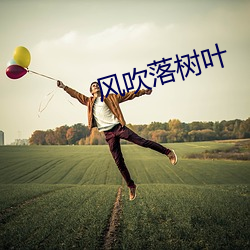 风吹落树叶