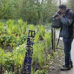 ca88手机客户端(安卓/苹果)CA88会员登录入口