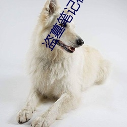 盗墓(墓)笔记在线阅读