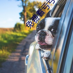 免费看亏亏的软件app 鸡蟲得失）