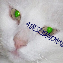 4虎又换啥地址了 （与世推移）