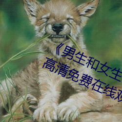 《男生和女生一起差差30分鍾》手機高清免費在線觀看