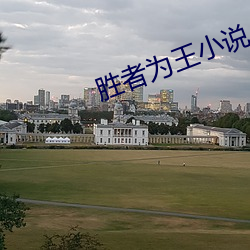 胜(shèng)者为王小(xio)说