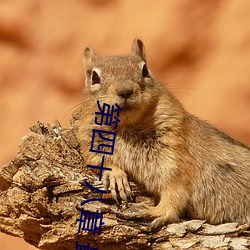 第四十八章 最後還是被汁液灌進去了(霧)