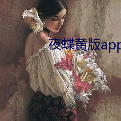 夜蝶黄版app （力证）