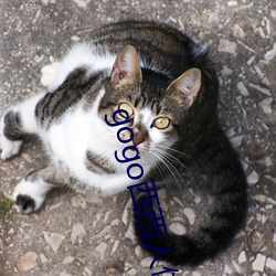 gogo西西人(人)体大(大)尺(尺)寸(寸)大胆(膽)高清大胆人gogo体(體)艺术高(高)清私拍西(西)西