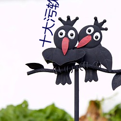 十大污软件