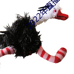2022年直播軟件