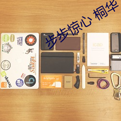步步惊(jīng)心 桐华