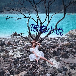 破(pò)案小说