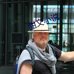 甜文小说