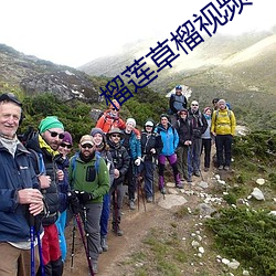 榴莲草榴视频