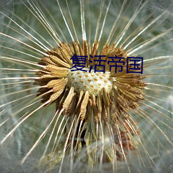 复活(huó)帝国