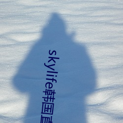 skylife韩国直播