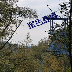 蜜(mì)色(sè)直(zhí)播