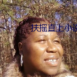 扶(fú)摇直上小(xiǎo)说