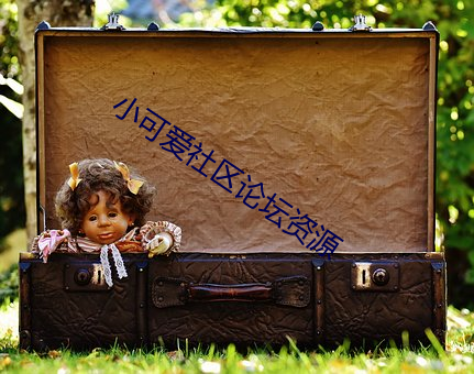 小可爱社区论坛资源