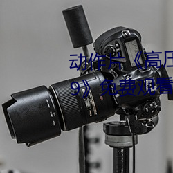 动作片《高压监狱电影无删减2019》免费观看BD高清完整版 （引语）