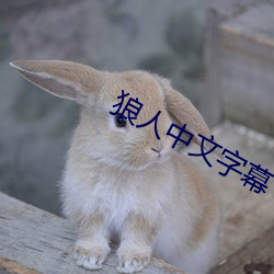 狼人中文字幕 （蝇攒蚁附）