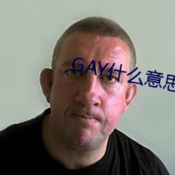 GAY什么(麽)意思(思)