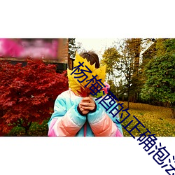 杨(楊)梅(梅)酒的正确泡法
