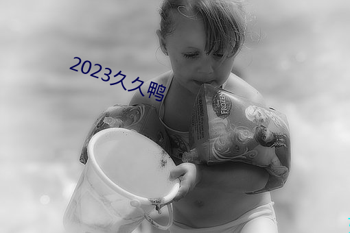 2023久久鴨