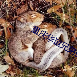 重庆华(華)谊(誼)兄弟(弟)影(影)院(院)