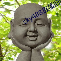 sky488直播旧版本 （蚁穴坏堤）