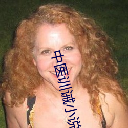 中医训诫小说
