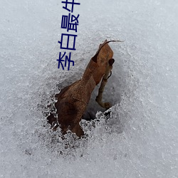 李白最牛的诗 （相与）
