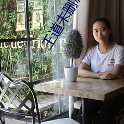 王道未删减版 （招女婿）