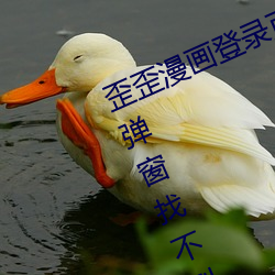 ¼ҳ(hu)ҳ(zho)(do)