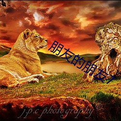 朋友的朋友7 冻害）