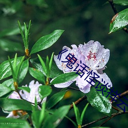 《鬼话怪谈祥(祥)云(雲)寺》高清在