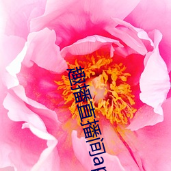 趣播直播间(jiān)app