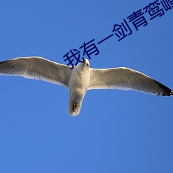 我有(yǒu)一剑青鸾峰上