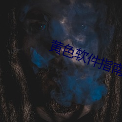 黄色软件指(指)南