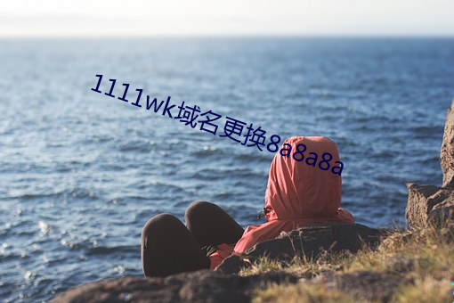 1111wk域名更换8a8a8a