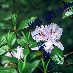 学渣(zhā)坐在学霸(bà)的鸡叭上写作业 我做错一题他们就(jiù)c我一次