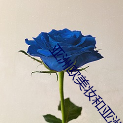 亞洲歐美妝和亞洲妝的區別