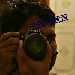 法国毛茸茸