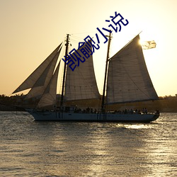 觊觎小说 （晦朔）