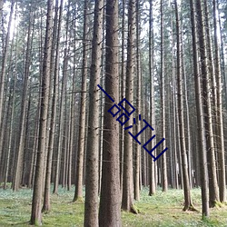 一品江(江)山